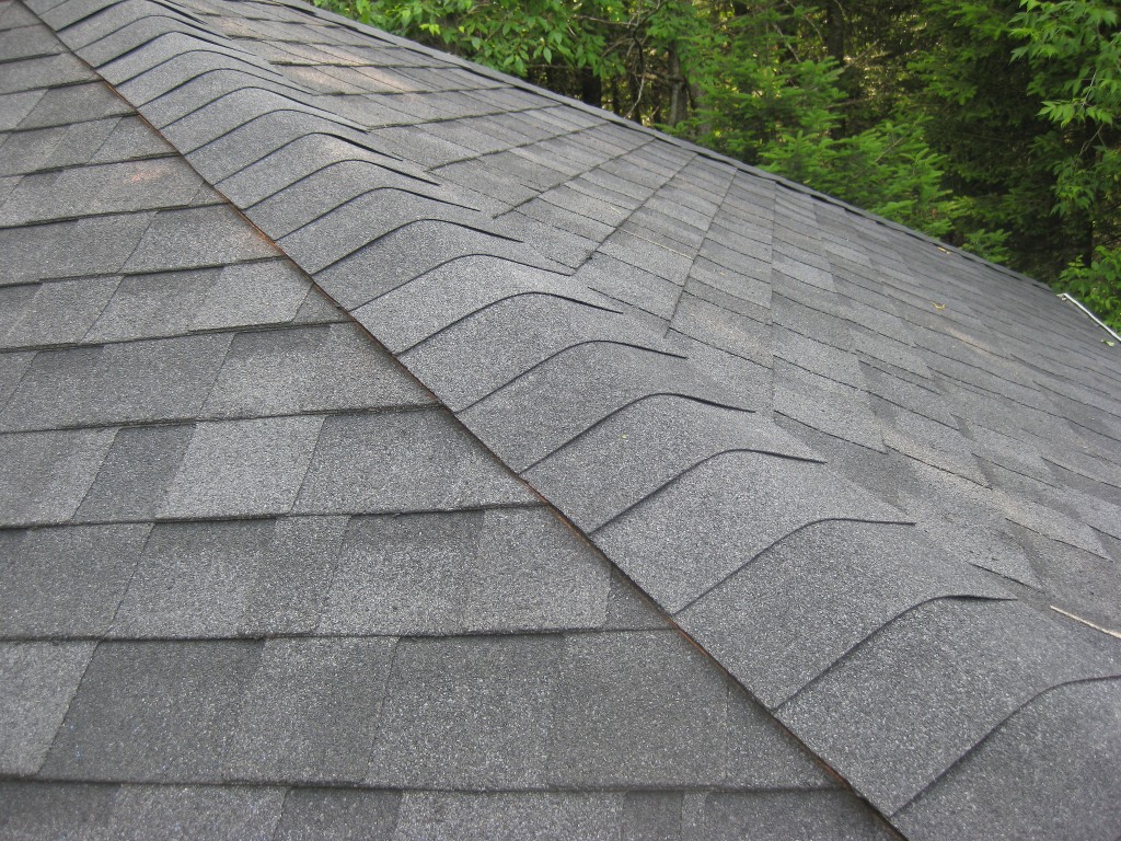 Studio Roof Renovation shingles