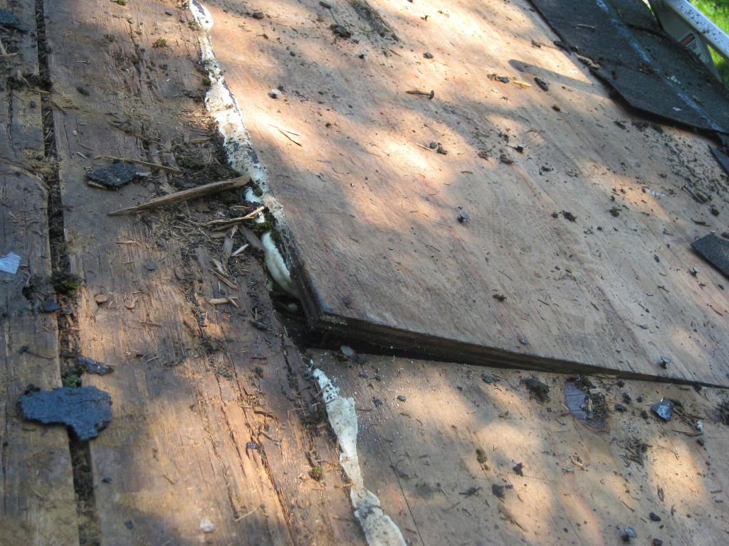 Studio Roof Renovation demo