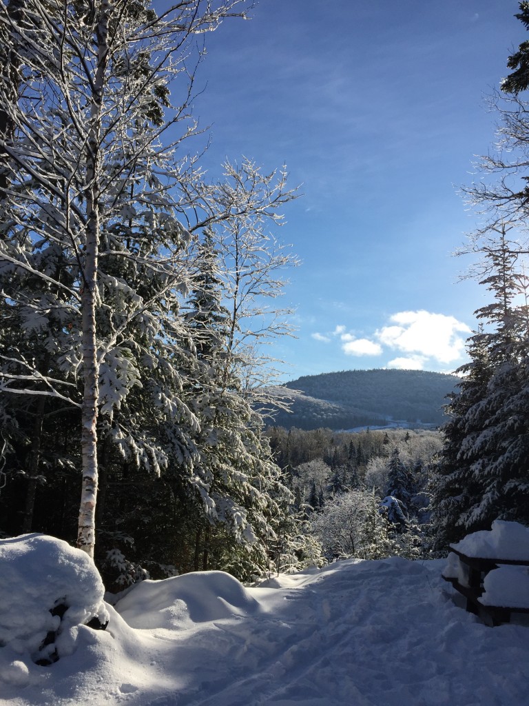 Cross Country Skiing at Mount Van Hoevenberg