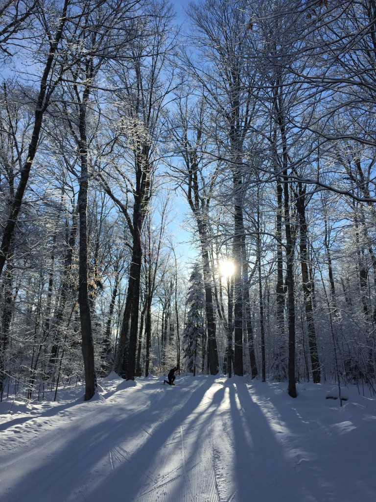 Cross Country Skiing at Mount Van Hoevenberg Trail