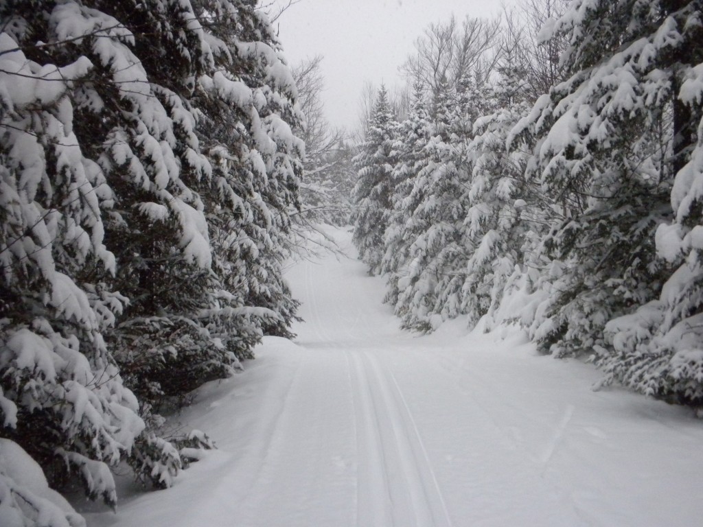 GO-Cottage-Vacation-Rental-Snow-scenery-Lake-Placid-NY