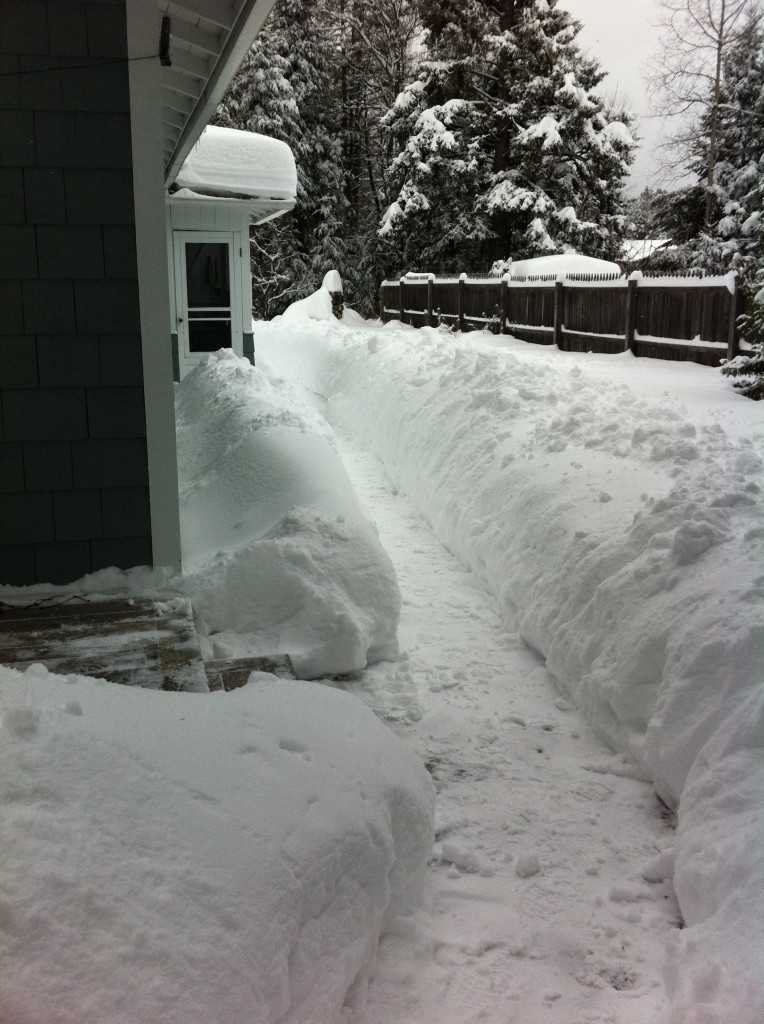 GO-Cottage The Art of Shoveling Snow pathway