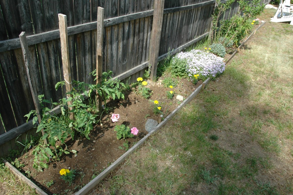 Early garden