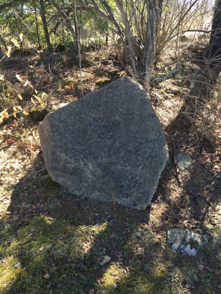 Geology and Landscaping in the Adirondacks boulder