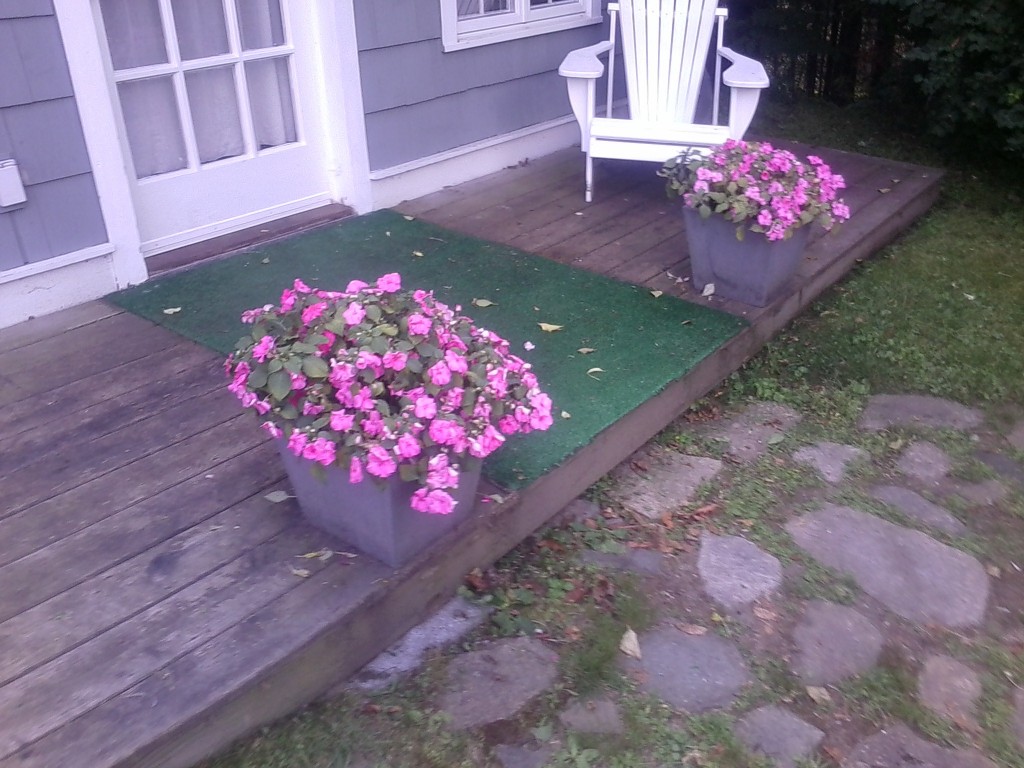 GO-Cottage It's deck staining time before