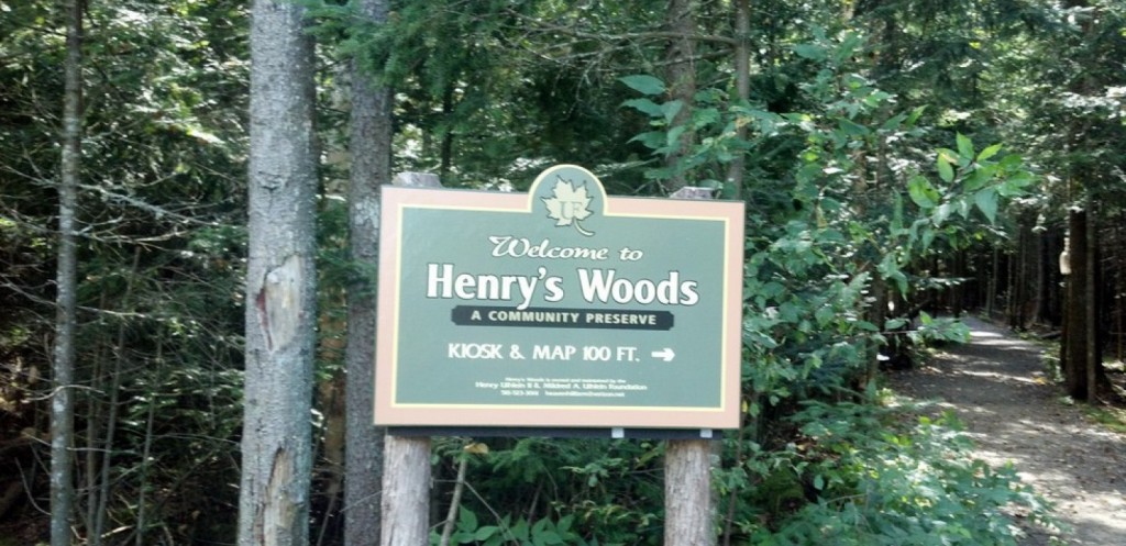 Run Baby Run Lake Placid Hiking Trails Henry's Woods
