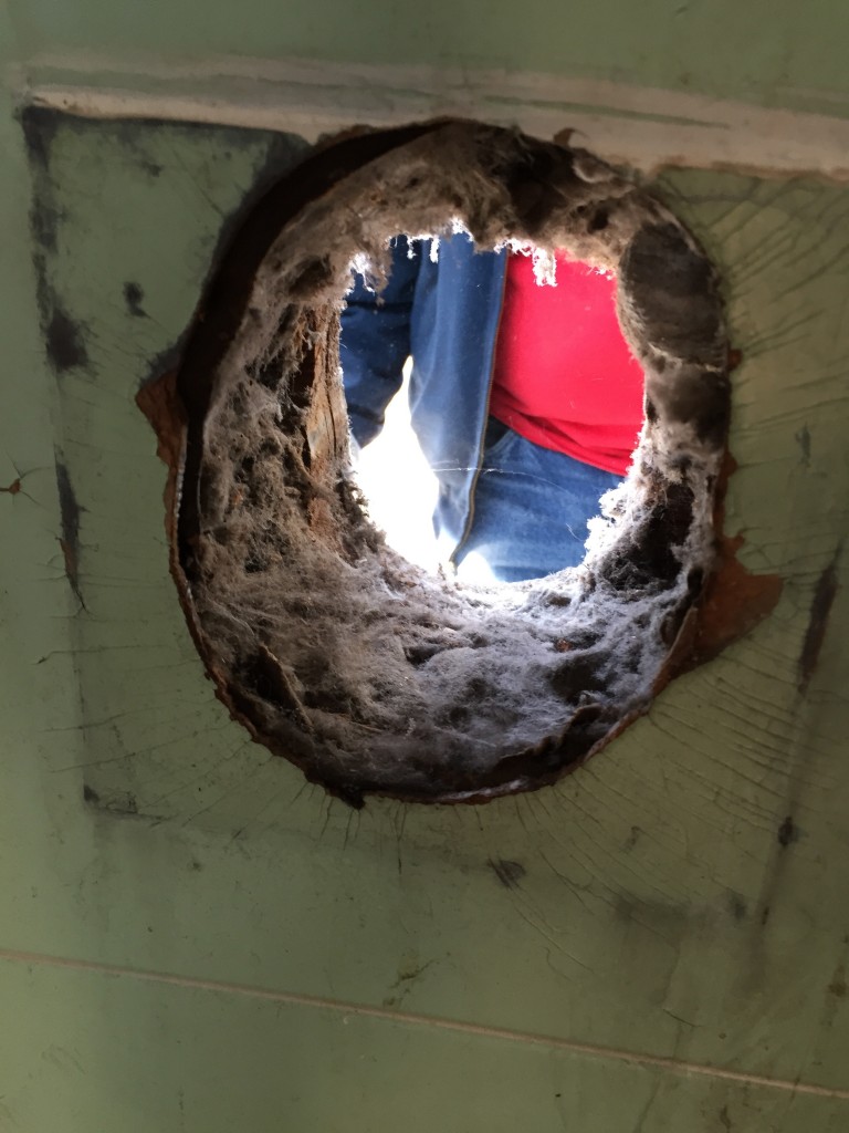 GO-Cottage Laundry Room Renovation demo hole