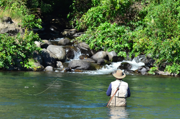 fly fishing central