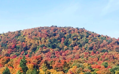 Flaming Leaves Festival 2026: An Owner’s Guide to Lake Placid’s Three-Day Foliage Weekend (Oct 10-12)