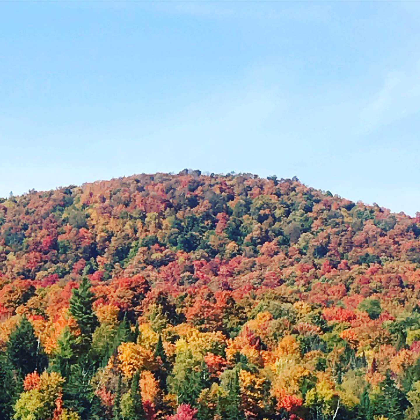 Peak color on the High Peaks — Flaming Leaves Festival 2026 An Adirondack mountainside in full red and gold above Lake Placid during Flaming Leaves Festival weekend