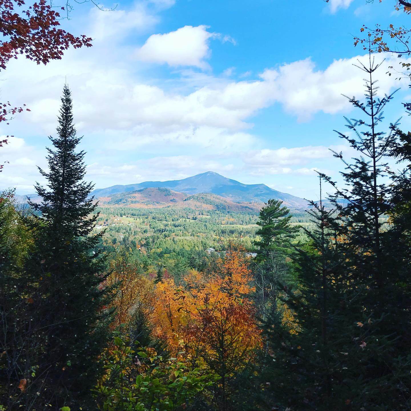 henrys woods fall