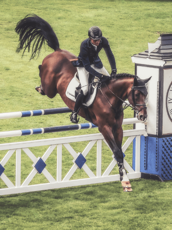 Lake Placid Horse Show