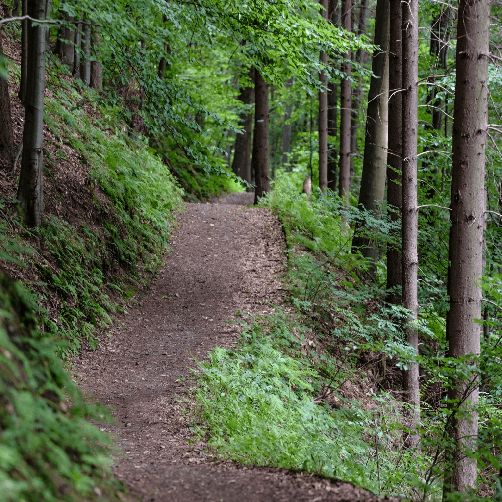 Hiking