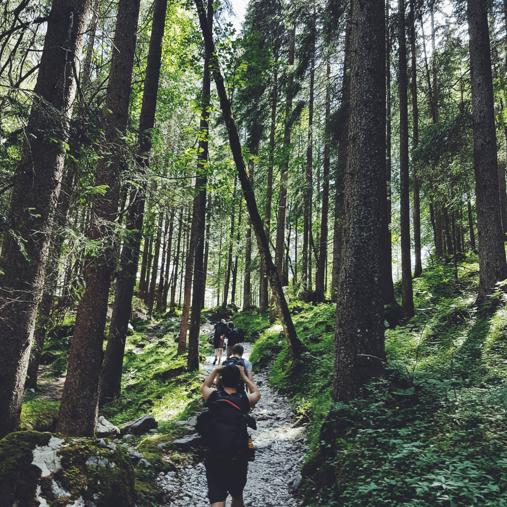 Hiking
