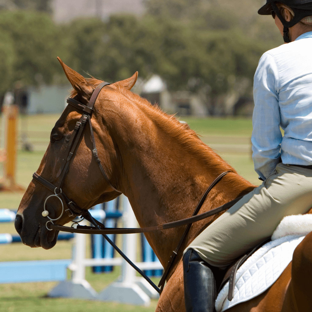 Horse Show