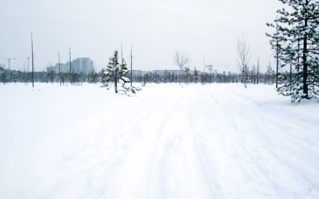 Best Time To Visit Lake Placid In Winter: Snow, Events & Lodging Tips