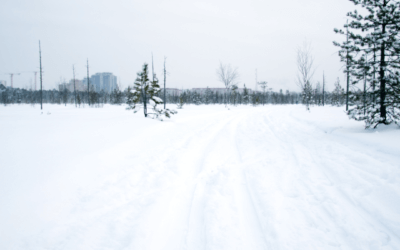 Best Time To Visit Lake Placid In Winter: Snow, Events & Lodging Tips