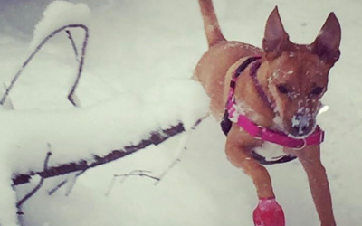 Hidden Gems Near Lake Placid Vacation Rentals You Shouldn’t Miss